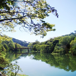 Rio Paraibuna