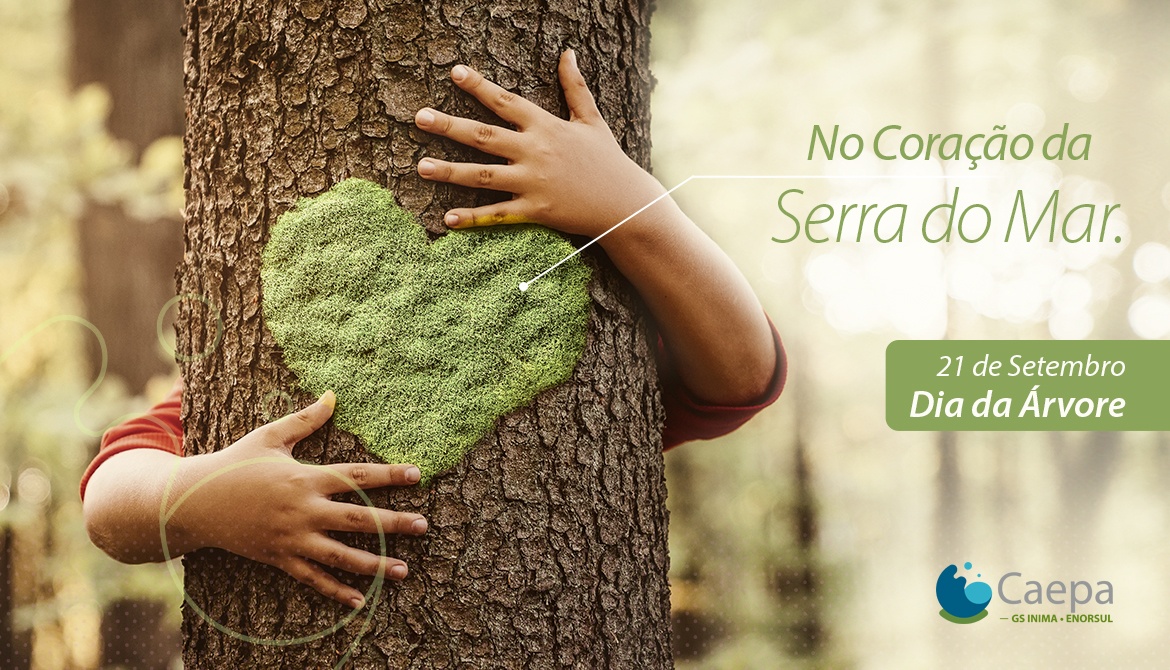 No coração da Serra do Mar