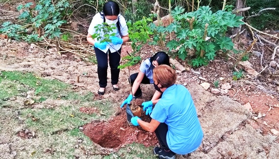 CAEPA realiza ação em comemoração ao Dia da Árvore