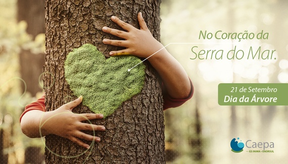 No coração da Serra do Mar